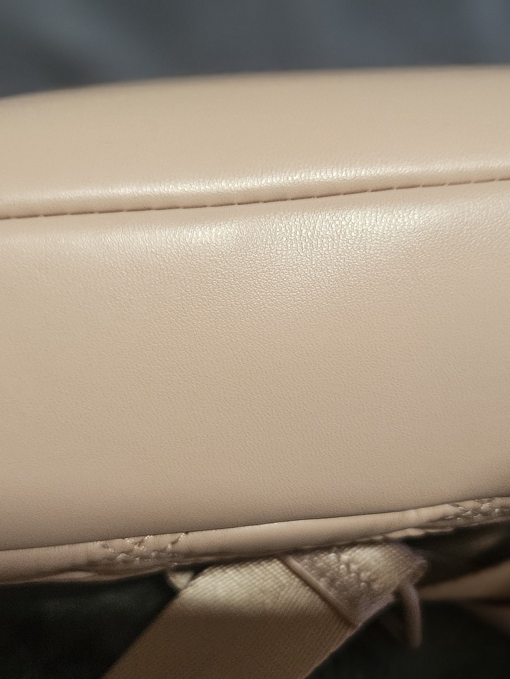 Kendall & Kylie Quilted Leather Crossbody Bag in Nude - Picture 6 of 10